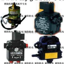 油泵 AJ6AC-1000-2Y6