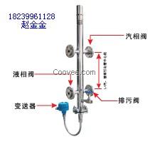 经济型锅炉汽包液位计CR-6033