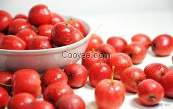 山楂果廠家價格