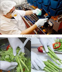 湖南肉食加工廠用12寸丁腈手套--皮艾尼