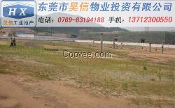 附近超市銀行學校 臨城市主道東莞工業土地