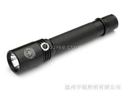 供應(yīng)BXD6023防爆強(qiáng)光手防衛(wèi)電筒