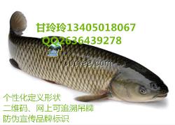 水產(chǎn)生態(tài)水庫魚防偽吊牌 二維碼魚吊牌標(biāo)牌