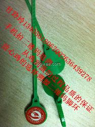 采購編碼塑料雞腳環找廠家