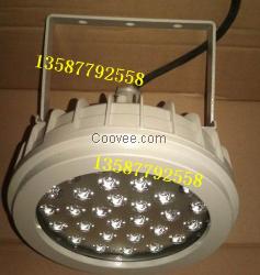 CCd96-LED15bJ防爆節(jié)能照明燈