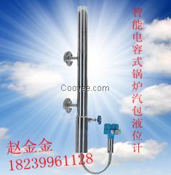 火力發(fā)電鍋爐汽包保護(hù)液位變送器CR-60