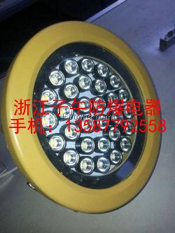 供应10W防爆灯BCD6310-10g