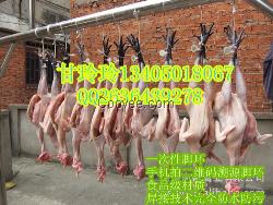 白條二維碼腳環(huán)——蘇州金禾通廠家定做