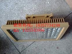 100wled防爆灯220v