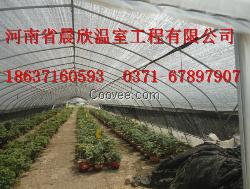 供應鞏義大棚骨架防腐鋼架