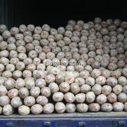 東莞食用菌菌種袋,恒展農業科技為你提供