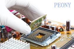 南京一次性丁晴手套廠家---PEONY品