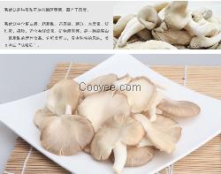 咸寧袖珍菇,恒展農(nóng)業(yè)科技為你供應(yīng)