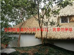 供應唐山茅草，唐山仿真茅草新價格