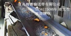 耐高溫300輸送帶