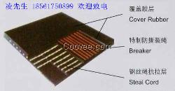 防撕裂型钢丝绳提升带