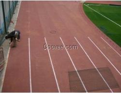 籃球專用地板/綠通塑膠制品供/籃