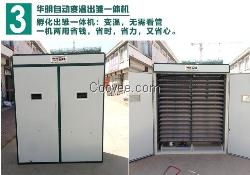 德州华明品牌双温双控孵化机
