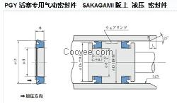 日本阪上密封件PGY