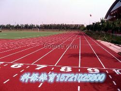 供應南通塑膠跑道廠家報價