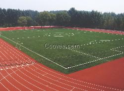 供應(yīng)漯河塑膠跑道