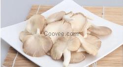 南陽(yáng)食用菌秀珍菇,恒展農(nóng)業(yè)科技為你服務(wù)