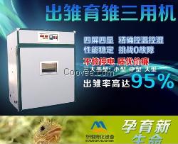 华明小型家用孵化器 货到付款