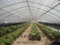 鍍鋅鋼管大棚造價，商洛大棚建造標準