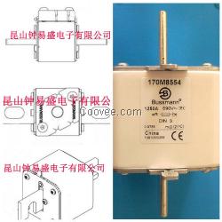 美国Bussmann熔断器170M854