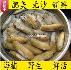 厂家直销速鲜阁海鲜 水产 干货即食虾批发