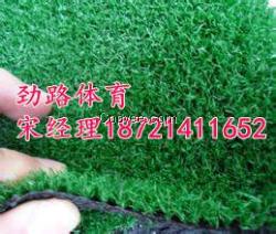 供應人工草坪施工|報價|廠家