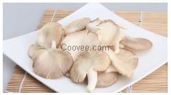 深圳有機袖珍菇,恒展農業科技為你服務