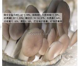 上海有機袖珍菇,恒展農業科技為你服務