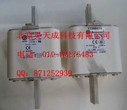 供應博仕曼熔斷器170M6699