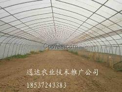 连栋塑料大棚，钢架大棚骨架施工建造