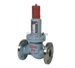 AHN42F平行式液化石油氣回流閥制