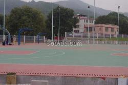 硅pu運動球場定做廠家,廣州帝森(圖),