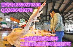 食品級材質白條腳環二維碼掃描溯源腳環