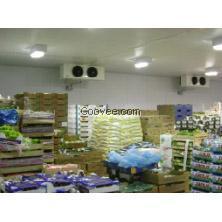 供應鎮江、泰州、宿遷等地蔬菜保鮮庫