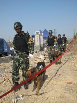 圣吉犬防---全国犬防行业者