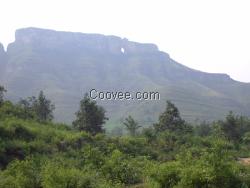 河北山水石價格合理