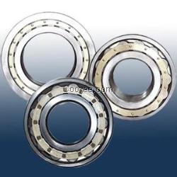 供應  SL045004PP圓柱滾子軸承