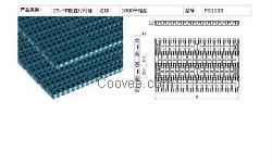 1100平格塑料網(wǎng)帶