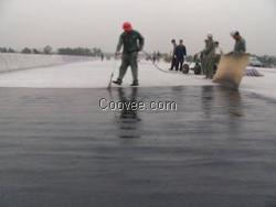 桥梁防水涂料价格