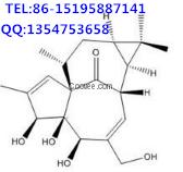 巨大戟醇/Ingenol