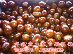 長期供應栗子加盟 老北京甘栗食品商行