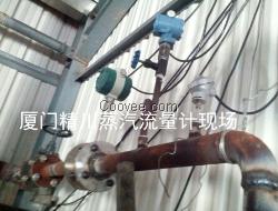 汕尾高爐煤氣流量計,精川品