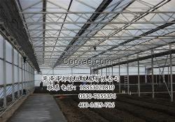 温室大棚建造批发供应 温室大棚建造供应商