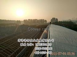 供应温室大棚建设 温室大棚配件价格