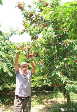 赛众土壤调理剂|赛众净土洁食新科技成果